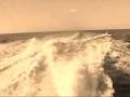 Maanam - Mandragora 