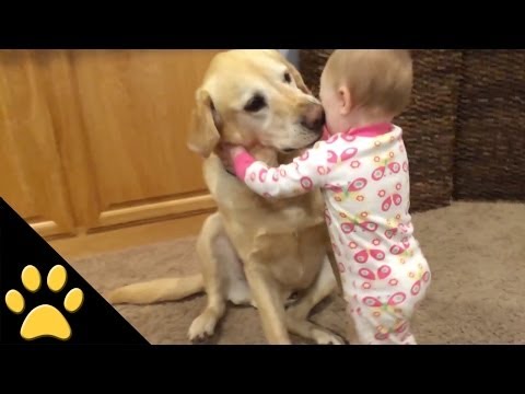 Cães felizes por terem crianças para amar!