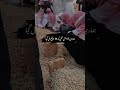 Qabar Ki Tayari Karlo Islamic Bayan Whatsapp Video Status Heart Touching Peer Ajmal Raza Qadri New