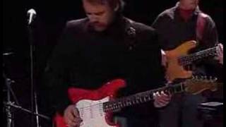 Lee Roy Parnell - Outro Medley - We All Get Lucky Sometime