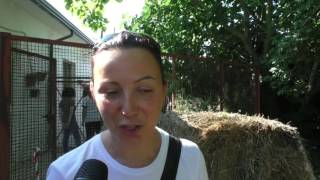 abbandonati-e-maltrattati-salvi-grazie-al-rifugio