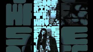 The Silver Panda - She Rides The Waves (Pale Saints cover  - excerpt 04) #music #shoegaze