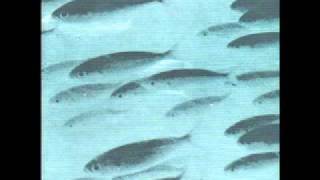 Flying Saucer Attack - At Night