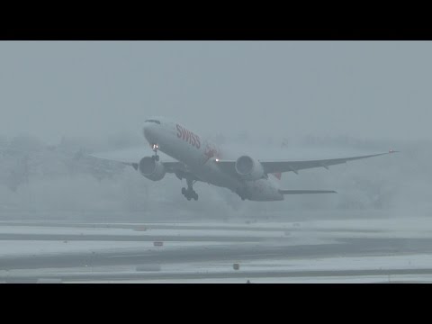 First of the year - Zurich Airport covered in fog and snow