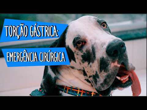 Torção Gástrica: uma emergência cirúrgica
