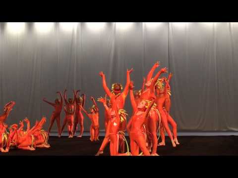 World Gymnaestrada 2015 Helsinki