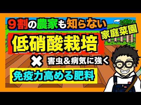 バナナの皮を使った天然肥料 2002