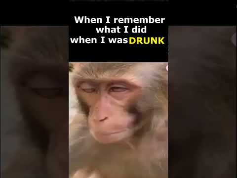 Monkey Drunk (When you were drunk) 😂😂👌🤣