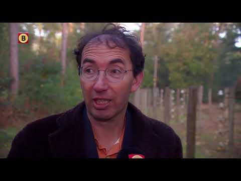 De dodendraad komt tot leven: basisschoolleerlingen spelen geschiedenis na