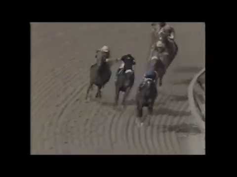 Pimlico Special 1995 - Cigar