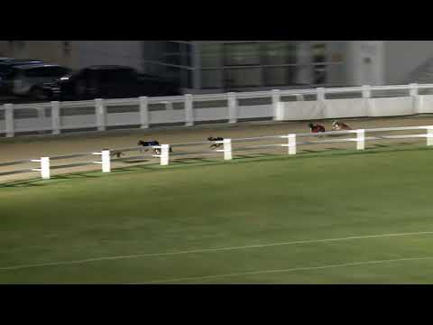 2020.10.02. 03. futam - Őszi Kölyök Derby