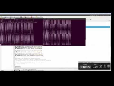 Lvl 2: Publisher and Subscriber using self created message in ROS