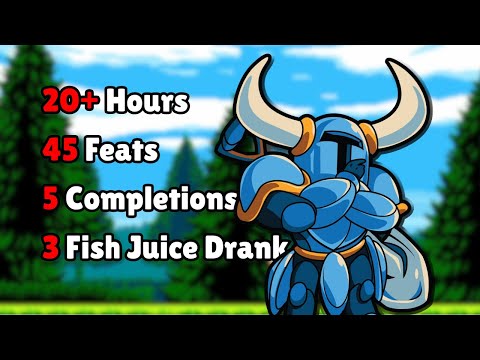 I 100%'d Shovel Knight  It was BRUTAL