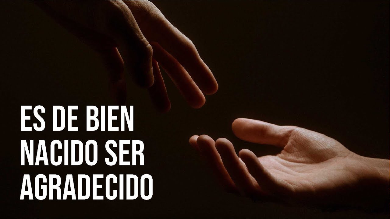 ES DE BIEN NACIDO SER AGRADECIDO -  DIEGO ARBELÁEZ