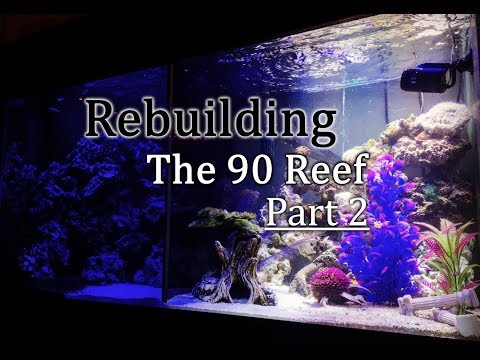 Rebuilding The 90 Reef - Part 2 (The Tank)
