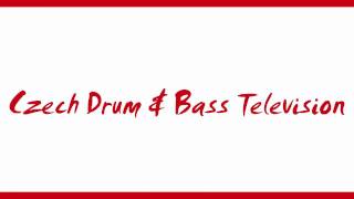 Lauren Pritchard - Painkillers (Roni Size Remix)