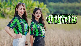 บักแตงโม – วงฮันแนว