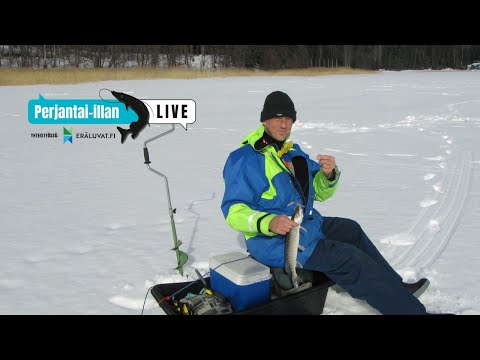 Perjantai-illan LivE: Tasapainopilkkien valmistusta ja tasuripilkintää