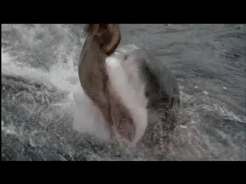 Dealing with CAD Frustrations - PTC