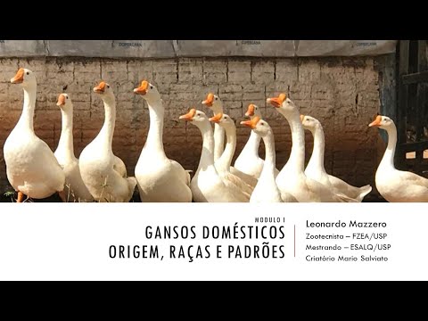 , title : 'GANSOS DOMÉSTICOS - ORIGEM, RAÇAS E PADRÕES'