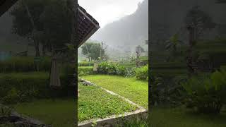 Download lagu Suasana hujan di saung sawah paling enak tarik selimut mp3