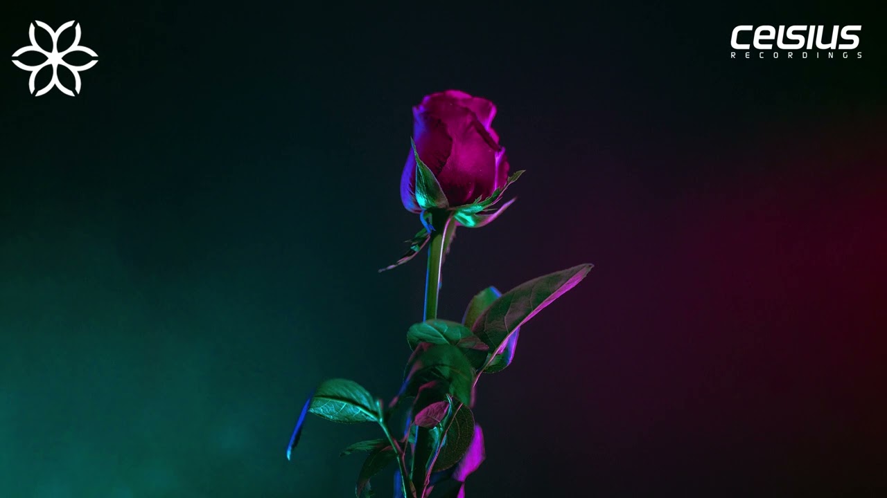 ETHR & Lucidity - Back 2 You