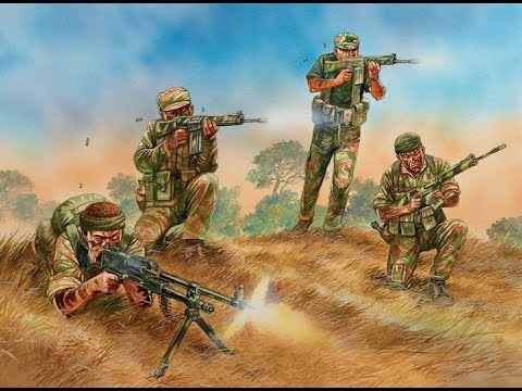 This is Africa: The story of the Rhodesian Light Infantry