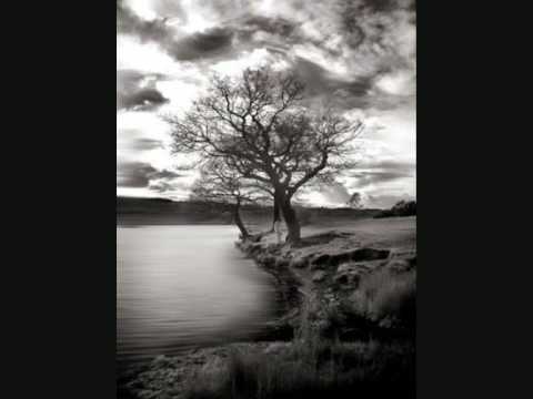 Shamas Pasakyk Kodel