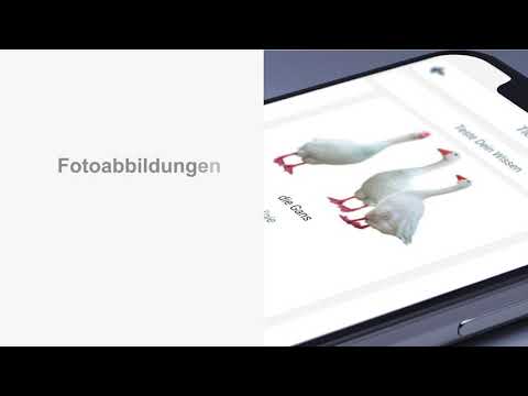 Französisch Lernen Video