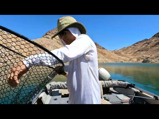 Judge.me YouTube video placeholder