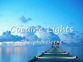 Cocaine Lights - Phosphorescent