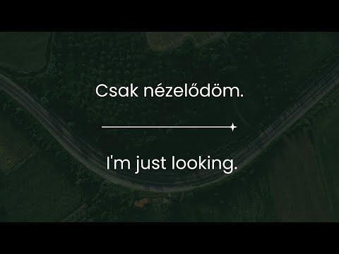 #1 Learn Hungarian While You Sleep | Most Important Hungarian Phrases and Words | English/Hungarian