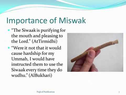 Fiqh of Purification 04   Importance of Miswak