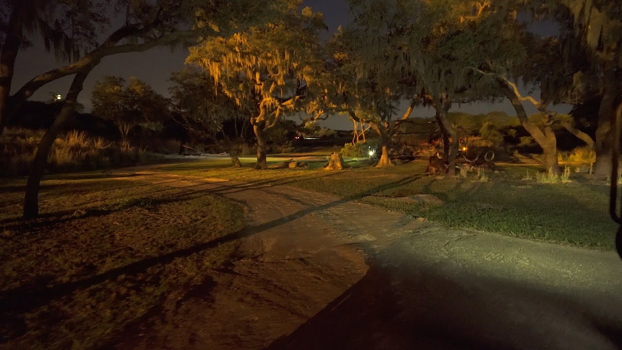 Ride through of Kilimanjaro Safaris at night