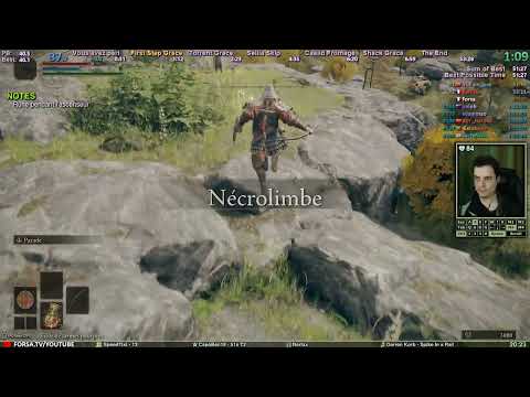 TENTATIVES DE WORLD RECORD 🌟 Any% Glitchless Speedruns