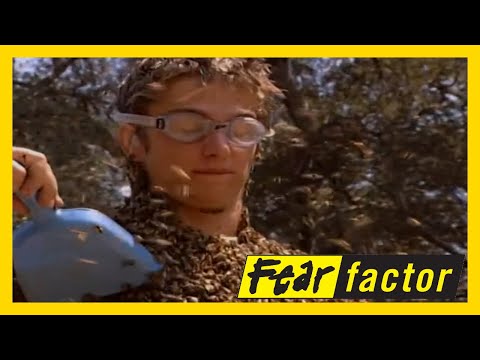 Fear Factor US Season 3 Episode 3: Get Covered With Bees 🐝