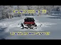 Can Am 1000 & 800 In Deep Snow - 23 Dec 2014 ...