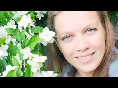 JESÚS, HAZ MI CARACTER /COVER