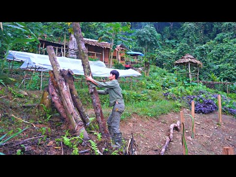 FULL VIDEO: 120 Days Build Life | Agricultural Harvest Goes to the market sell goods - Kong Survival