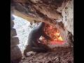Bushcraft Survival Camping In The Heavy Rain Camping Bushcraft Diy Survival Heavyrain Nature