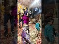 Ae Phoolon Ki Rani Baharo Ki Malika Tera Muskurana Gajab Ho Gaya Shorts