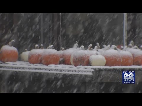 October storm blankets western Massachusetts with snow