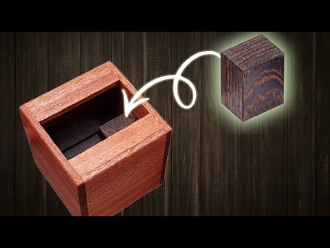 Puzzle Master and Puzzle guy