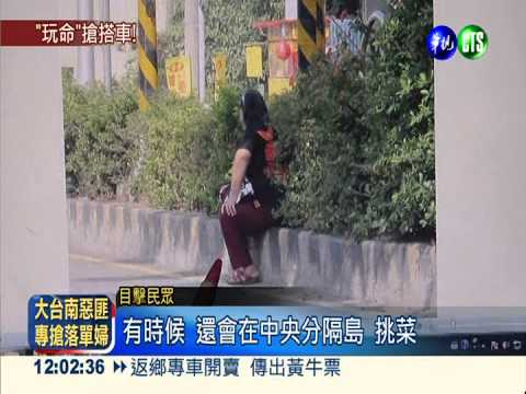 坐分隔島挑菜 穿越快車道搭公車