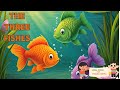 the three fish moral story bedtime stories panchatantra stories