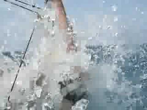 how not do sail on a hobie cat