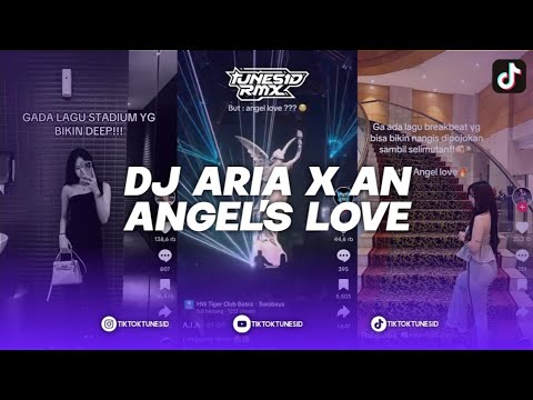 DJ ARIA HBRP EDIT X AN ANGEL'S LOVE STADIUM MASHUP