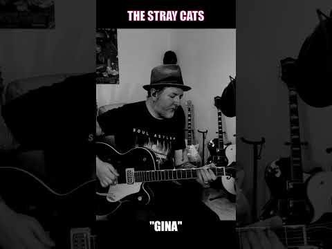 Gina - Stray Cats