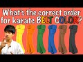 What Is The Correct Karate Belt Order Belt Colors Levels