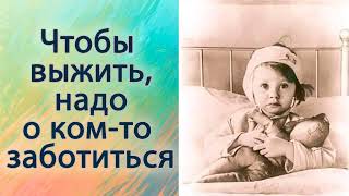 Чтобы выжить, надо о ком-то заботиться.